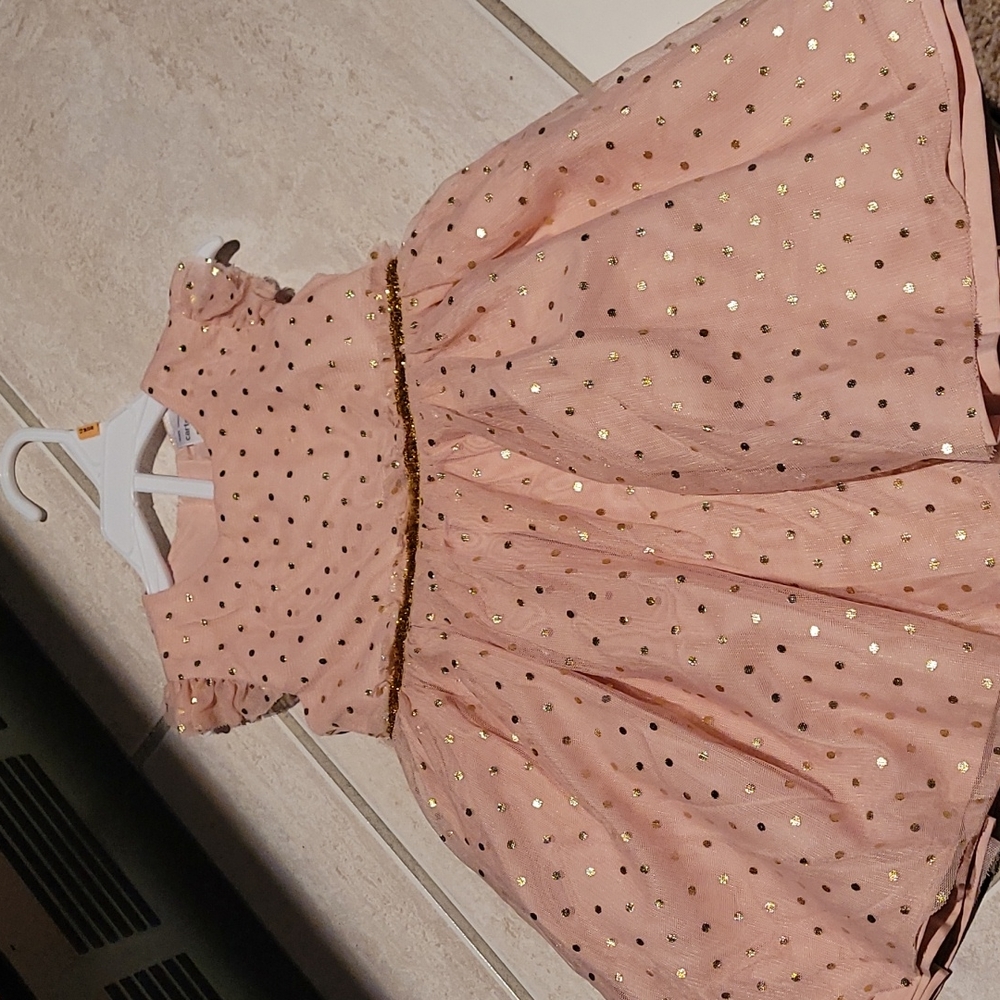Carter's 12 month Party dress